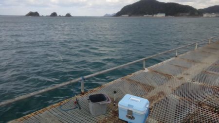 アジのサイズが良くなりました　下関フィッシングパーク